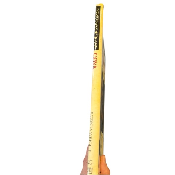 Eyewitness Art Goya by Patricia Wright Art History Book Hardcover In Color - Picture 5 of 8